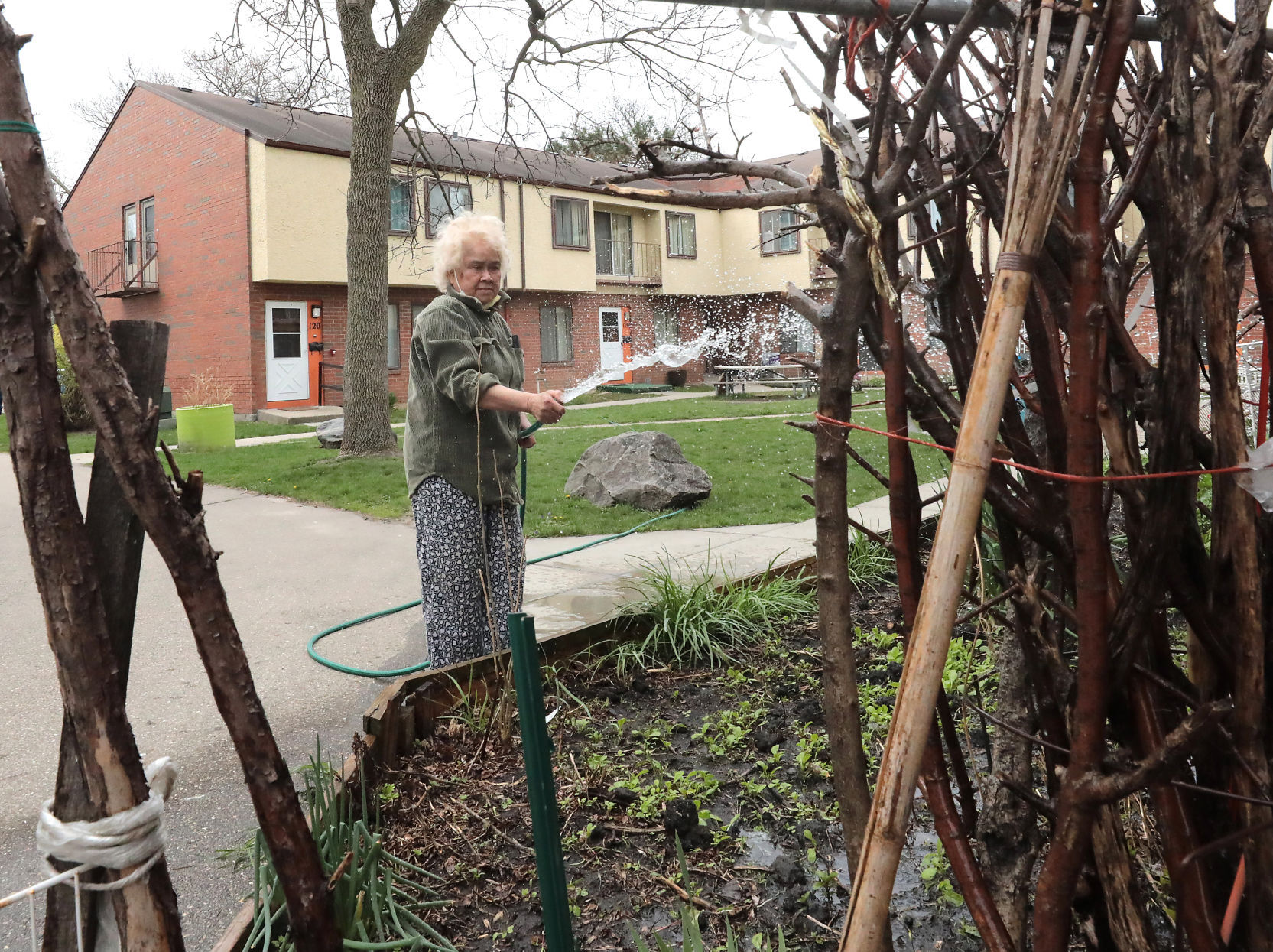 Bayview community - gardening